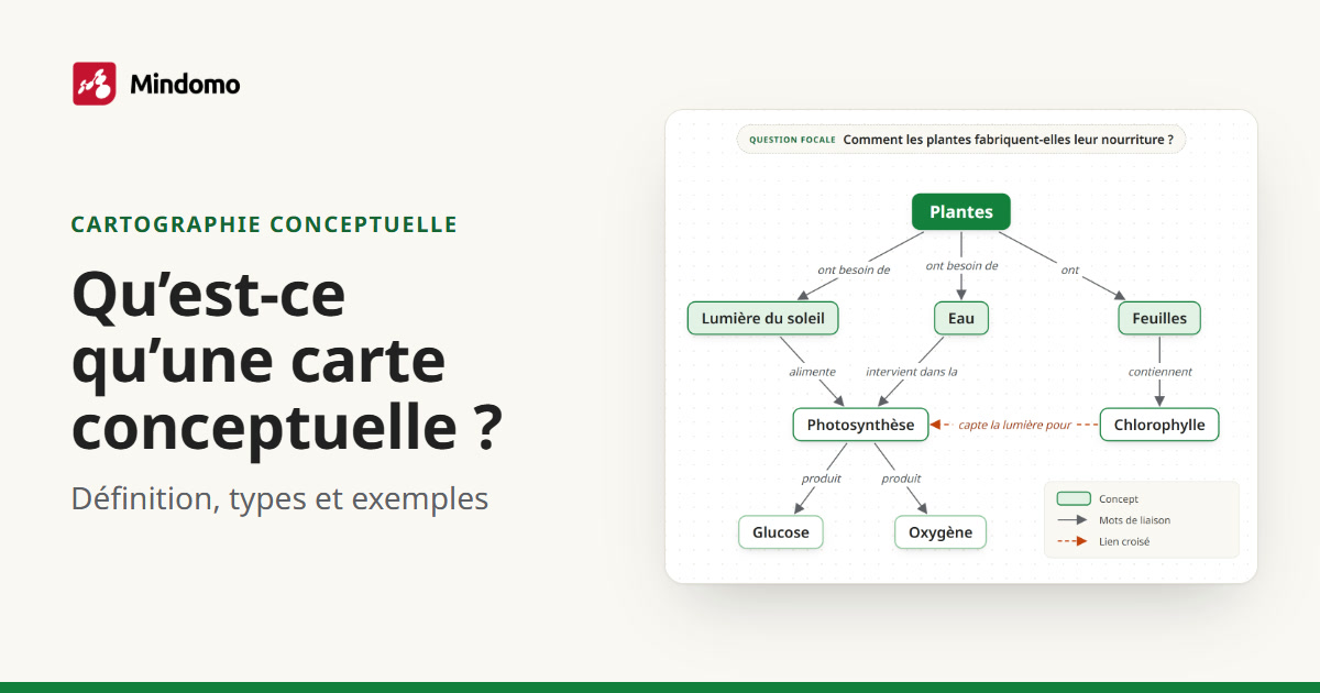 Qu’est-ce qu’une carte conceptuelle ? Définition et exemples