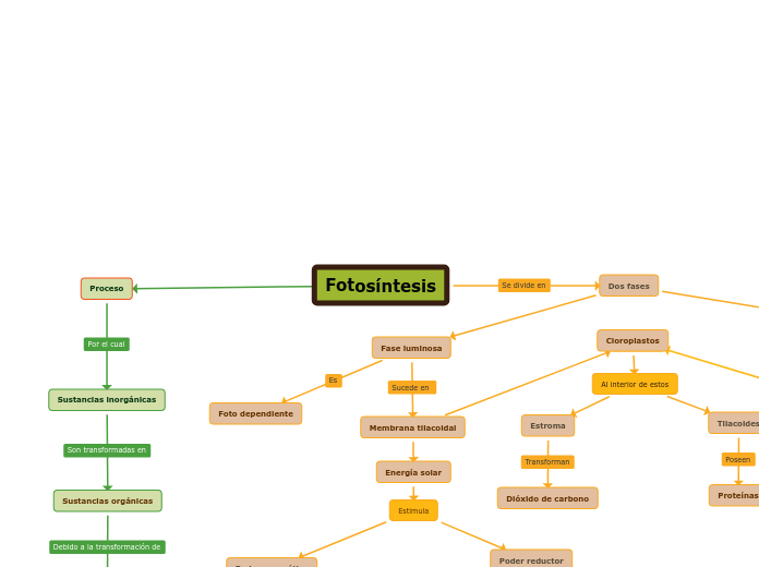 Fotosíntesis Mapa Mental