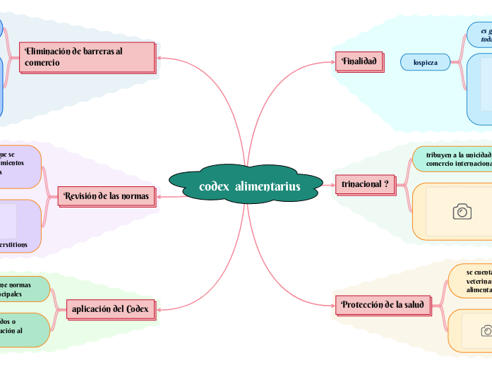 codex-alimentarius-mapa-mental-amostra