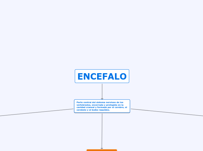 ENCEFALO Mapa Mental