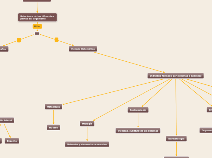 Morfolog a Aplicada Mind Map