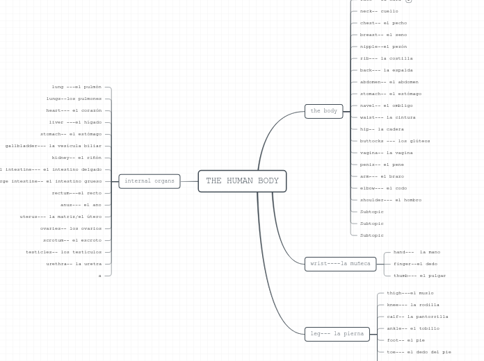 THE HUMAN BODY - Mind Map