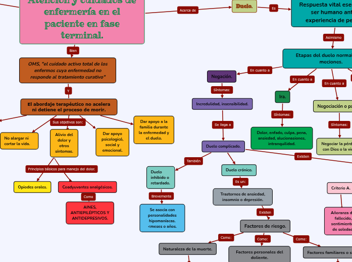 Atención y cuidados de enfermería en el... Mapa Mental