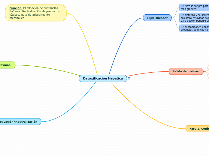 Detoxificacion Hepatica Mindmap Voorbeeld