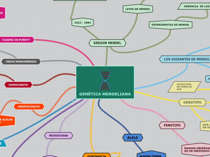 GENÉTICA MENDELIANA Mapa Mental