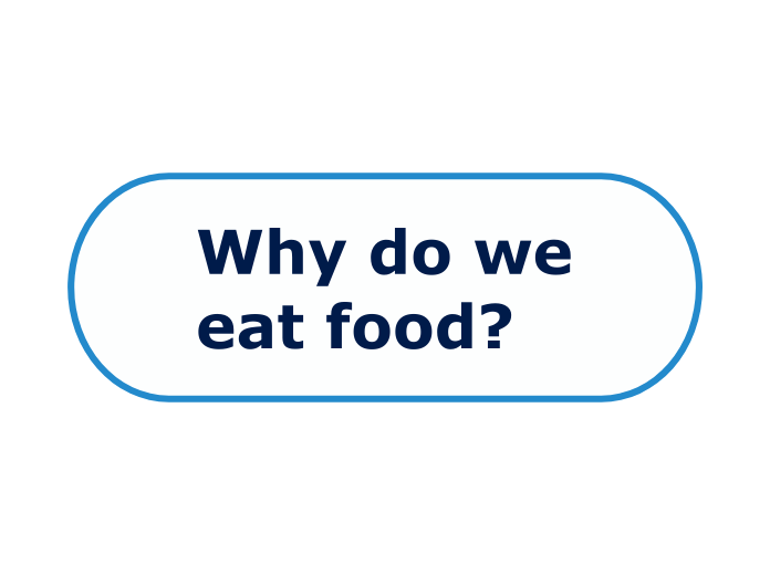 Why do we eat food mapa mental