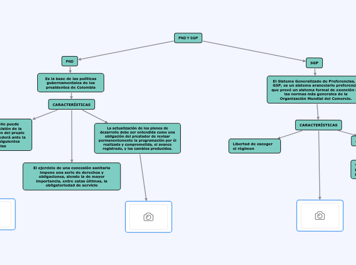 Pnd Y Sgp - Carte Mentale