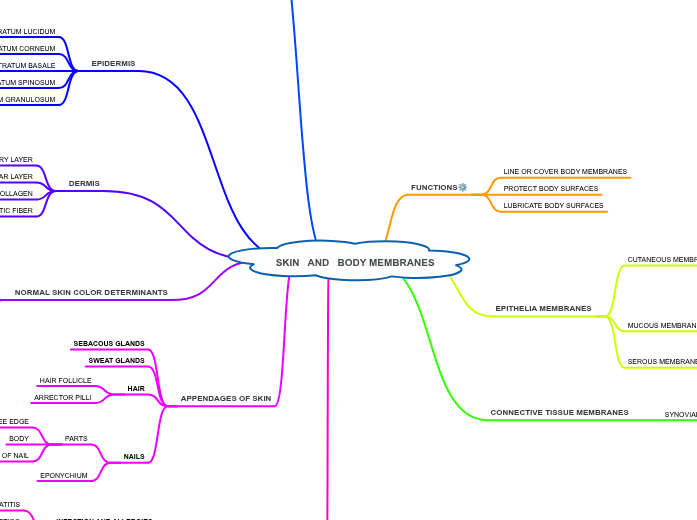 SKIN AND BODY MEMBRANES - Mind Map