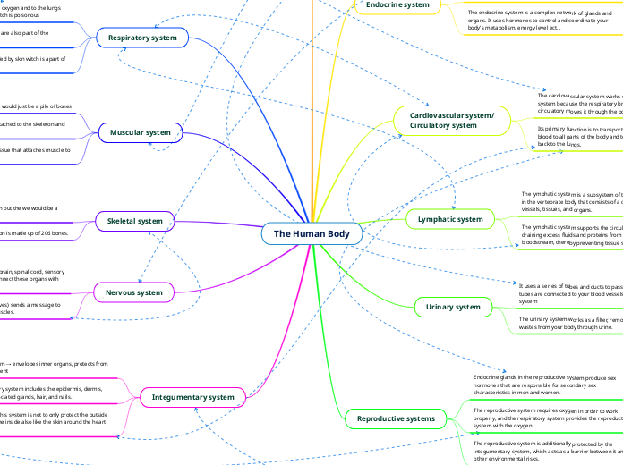 The Human Body - Mind Map