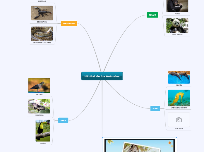 Hábitat de los Animales Mind Map