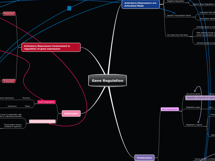 Gene Regulation Mind Map