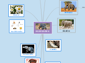 ELEFANTES - Mind Map