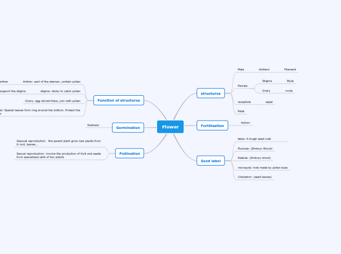 Flower - Mind Map
