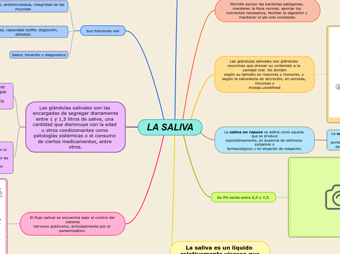 LA SALIVA Mind Map