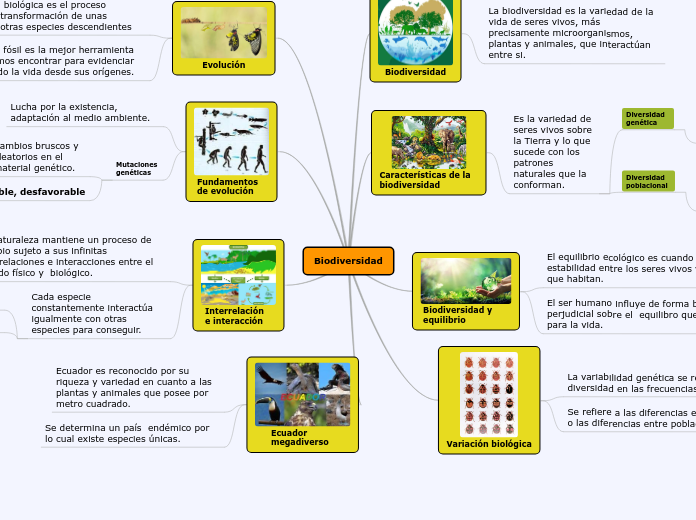 Biodiversidad Mapa Mental