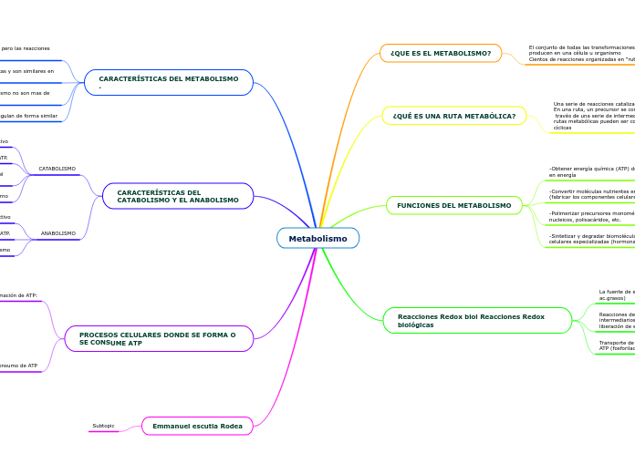 Metabolismo Mapa Mental