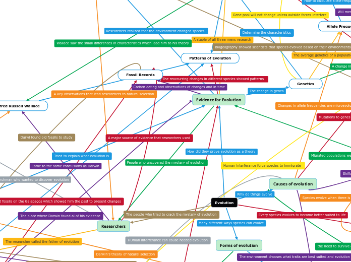 Evolution - Mind Map