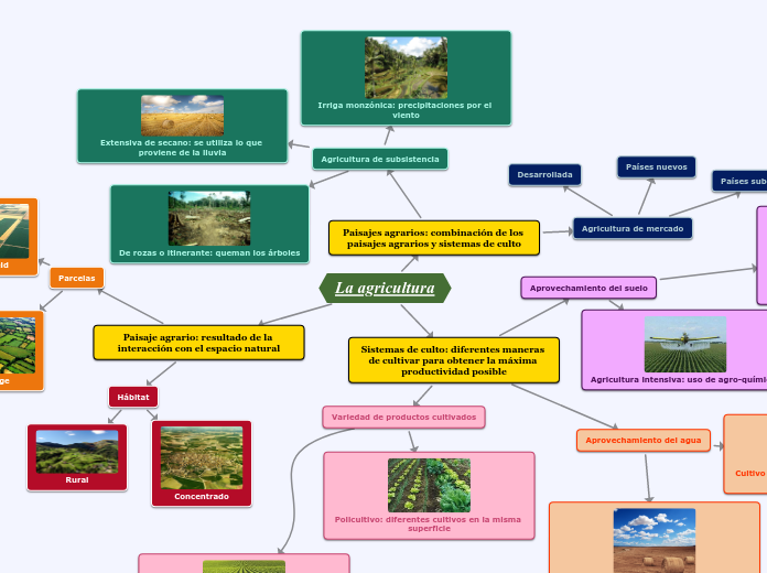 La agricultura Mapa Mental