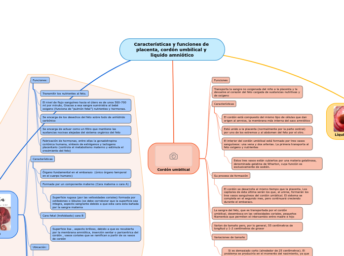 Características y funciones de placenta, c... Mind Map