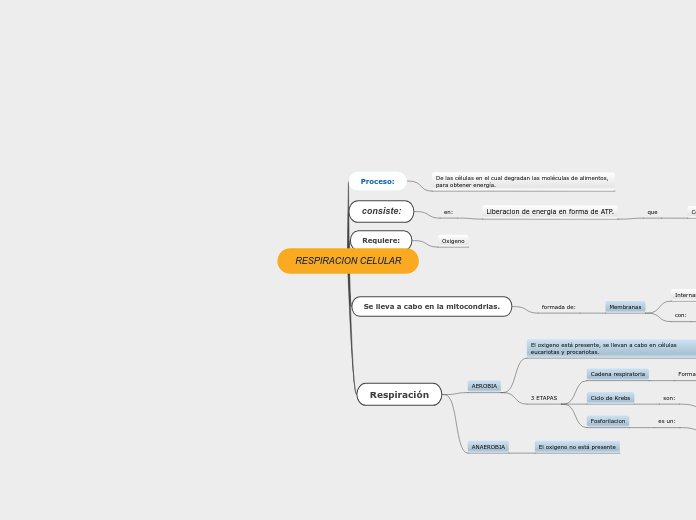 RESPIRACION CELULAR Mapa Mental Amostra