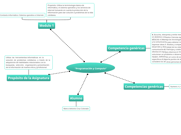 'Programación y Computo' - Mind Map