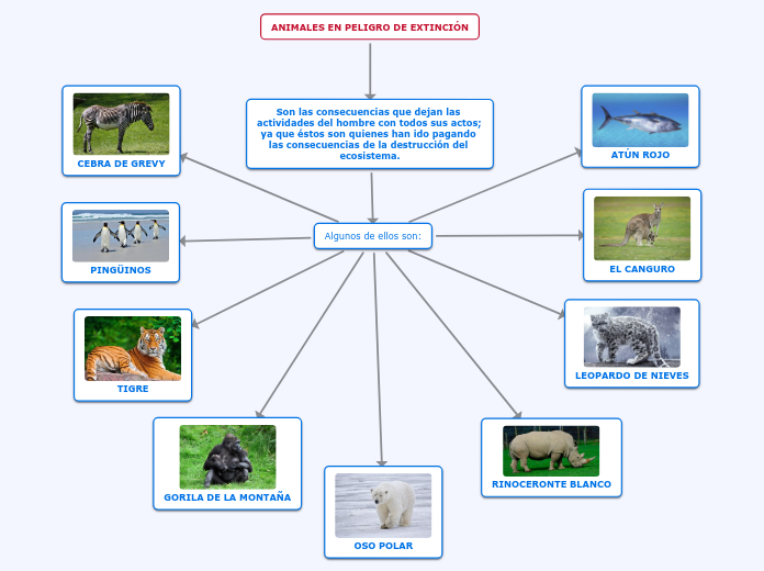 See the source image