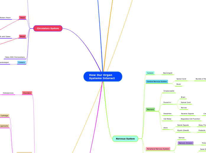 How Our Organ Systems Interact - Mind Map