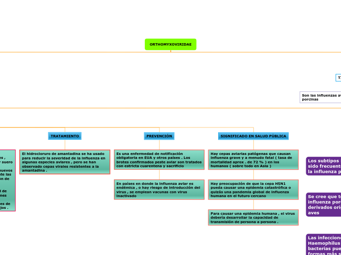 ORTHOMYXOVIRIDAE Mind Map