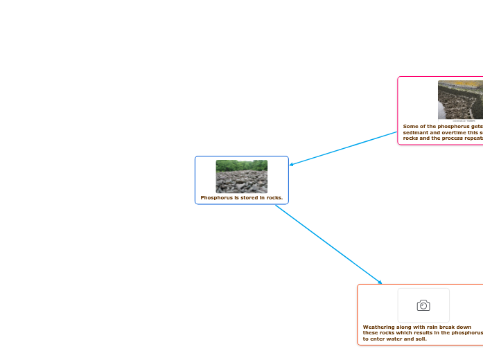 Phosphorus is stored in rocks. Mind Map
