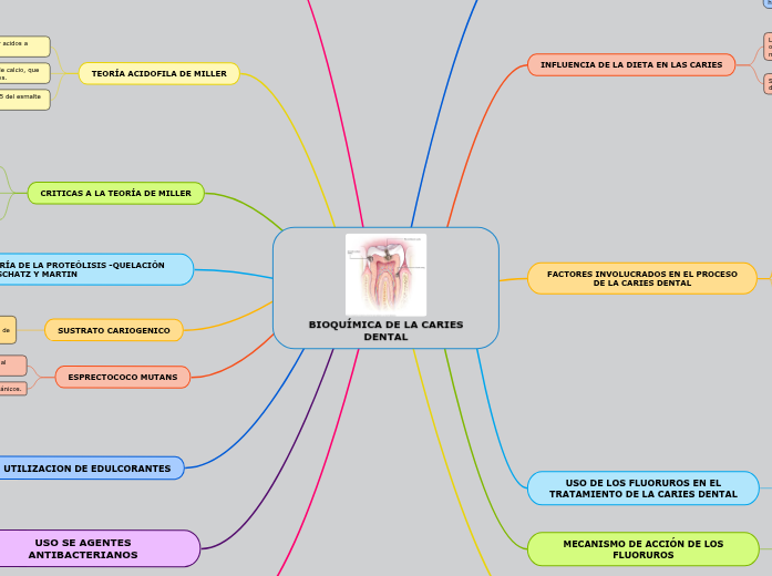 BIOQUÍMICA DE LA CARIES DENTAL Miellekartta