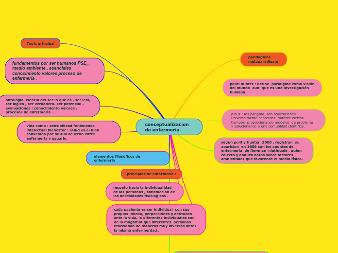 conceptualizacion de enfermeria Mapa Mental