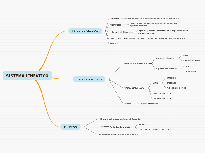 SISTEMA LINFATICO cuadro sinoptico Mindmap