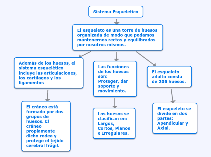 Sistema Esqueletico Mapa Mental