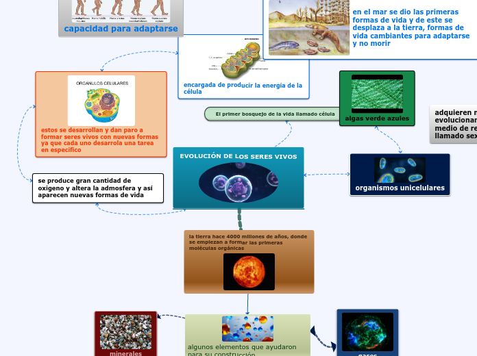 EVOLUCION DE LOS SERES VIVOS Mapa Mental