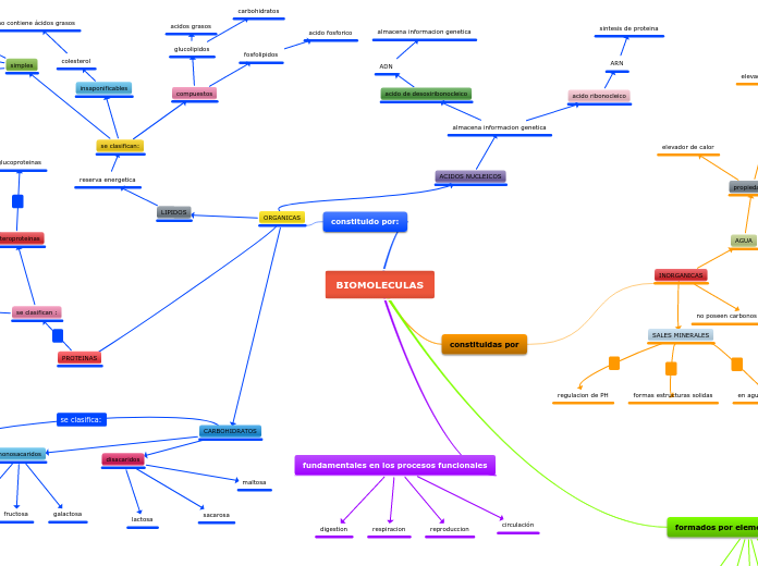 BIOMOLECULAS Mind Map