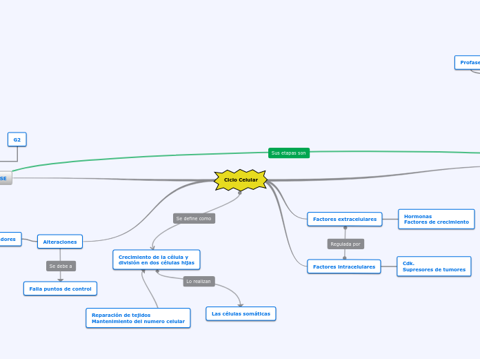 Ciclo Celular Mapa Mental Book Jb1r