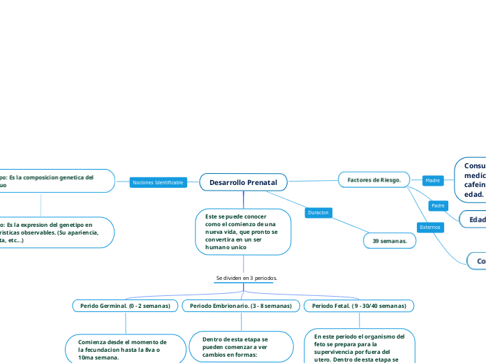 Desarrollo Prenatal Concept Map | Porn Sex Picture