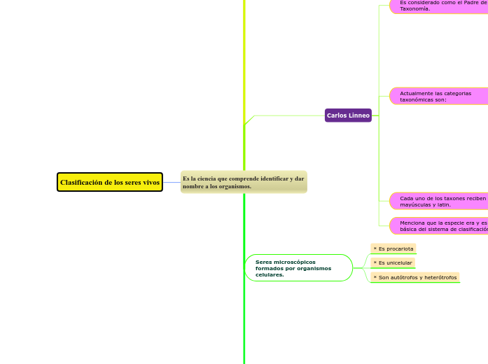 Existen 5 funciones Mapa Mental