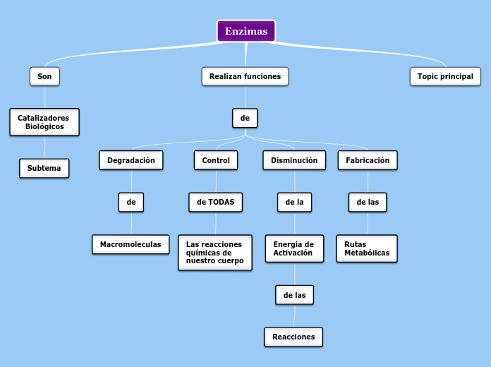 enzimas Mapa Conceptual