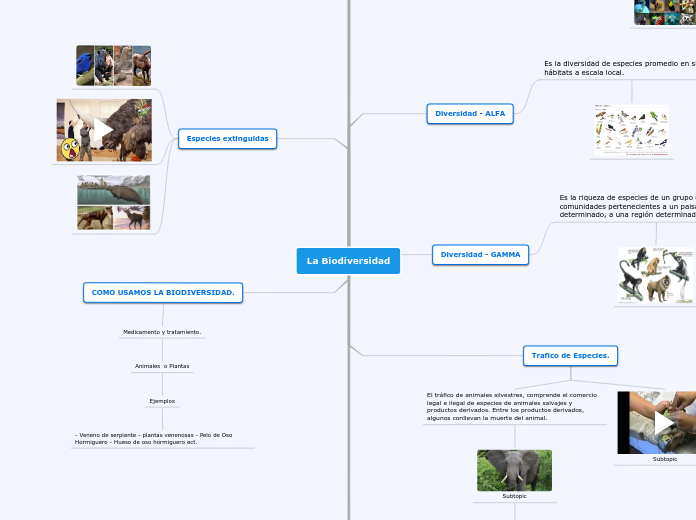 48+ Mapa Conceptual De Biodiversidad Simple Mantica