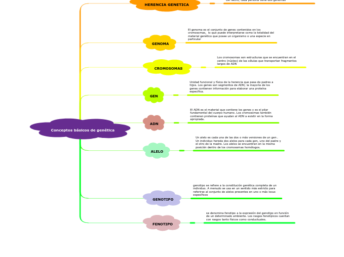 Conceptos básicos de genética Mind Map