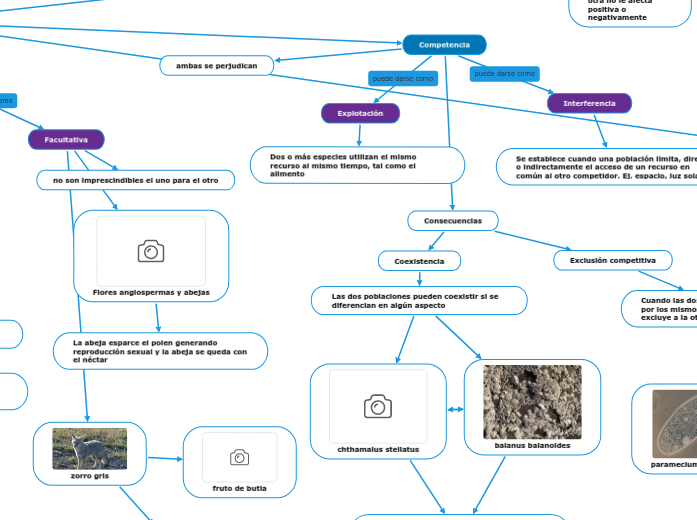 Arriba 35+ imagen mapa mental factores bioticos Abzlocal.mx