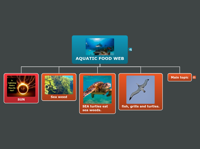 Aquatic food web Mind Map