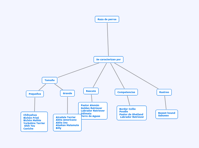 Raza de perros Mapa Mental