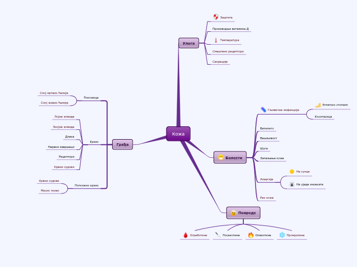 Кожа - Mind Map