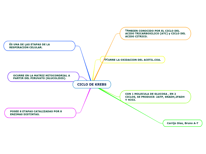 CICLO DE KREBS Mind Map
