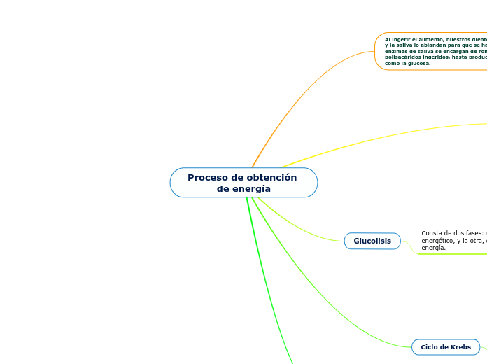 Proceso de obtención de energía Mind Map