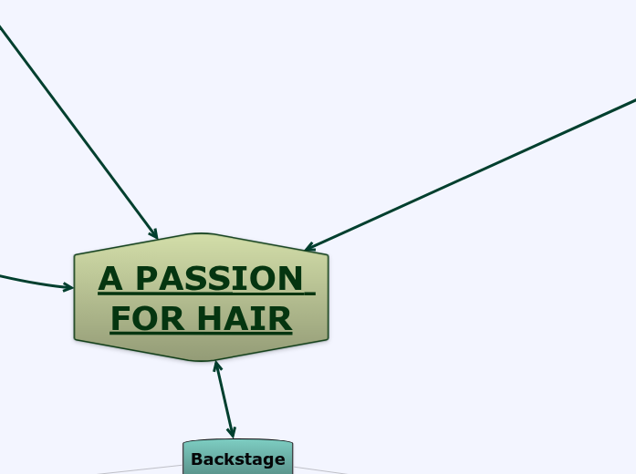 A PASSION FOR HAIR Mind Map