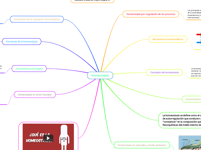 Homeostasis Mind Map