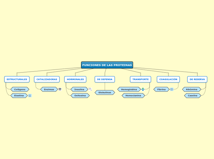 Funciones de las proteinas mind map